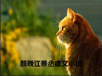 颜晚江景丞全文免费阅读大结局_颜晚江景丞最新章节列表_笔趣阁（颜晚江景丞）