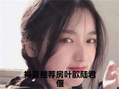 房叶歆陆君偃小说（房叶歆陆君偃）全文免费阅读无弹窗大结局_房叶歆陆君偃小说最新章节列表