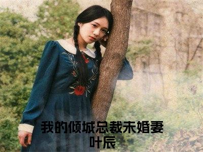 我的倾城总裁未婚妻叶辰（我的倾城总裁未婚妻叶辰全文免费阅读）小说最新章节_我的倾城总裁未婚妻叶辰全文免费阅读最新章节列表