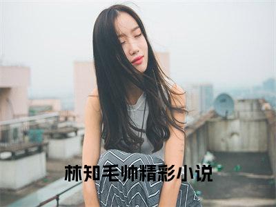 林知毛帅是什么小说-（林知毛帅）小说林知毛帅全文阅读