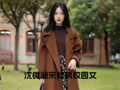 沈微澜宋如鹤豪门小说《沈微澜宋如鹤》最新章阅读-沈微澜宋如鹤小说今日更新