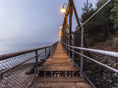 温青柠周时屿全新章节免费阅读，周时屿温青柠小说