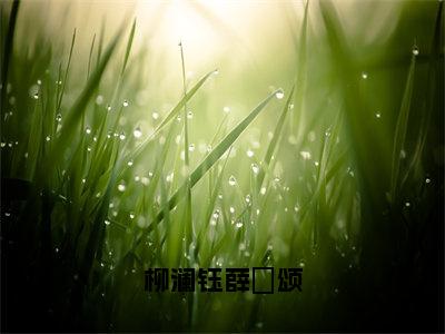 柳澜钰薛璟颂（薛璟颂柳澜钰）最火免费小说最新更新-柳澜钰薛璟颂（薛璟颂柳澜钰）全文已更新最新章节