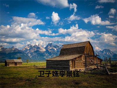 卫子姝李景铉小说免费阅读 李景铉卫子姝免费阅读无弹窗小说