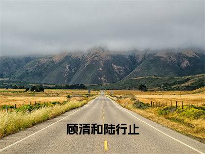 顾清和陆行止（陆行止顾清和）小说全文免费阅读无弹窗大结局_顾清和陆行止全文在线阅读无弹窗（陆行止顾清和）