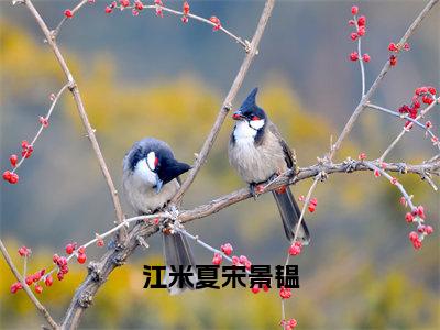 江米夏宋景韫(江米夏宋景韫)免费全文阅读小说_江米夏宋景韫最新章节列表-笔趣阁（江米夏宋景韫）