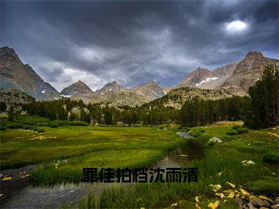 罪佳拍档沈雨清（祁墨沈雨清大结局小说全集完整版）_（祁墨沈雨清小说）罪佳拍档沈雨清全文阅读笔趣阁