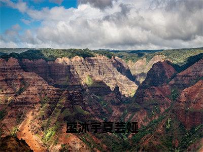 夏芸娅盛沐宇小说（盛沐宇夏芸娅）免费阅读-盛沐宇夏芸娅（夏芸娅盛沐宇）全章节最新阅读