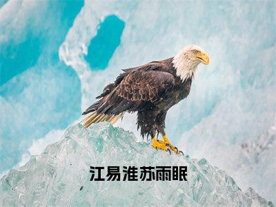 苏雨眠江易淮免费小说，江易淮苏雨眠全文免费阅读无弹窗大结局