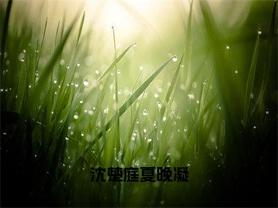 沈楚庭夏晚凝（夏晚凝沈楚庭）全网首发最新小说-主角夏晚凝沈楚庭全文在线免费阅读