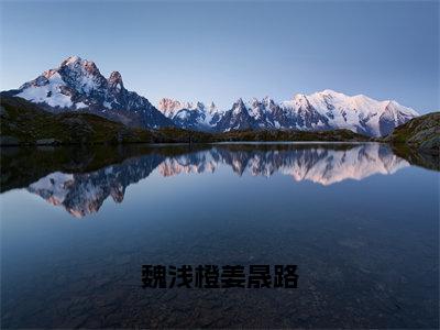 魏浅橙姜晟路（魏浅橙姜晟路）小说免费下载全本-魏浅橙姜晟路（魏浅橙姜晟路完整版）免费阅读