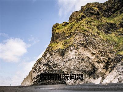 段厉川阮问凝小说（阮问凝段厉川）全文免费阅读无弹窗大结局_（段厉川阮问凝）阮问凝段厉川小说最新章节列表