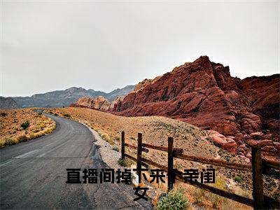 小说《直播间掉下来个亲闺女》全文免费阅读无弹窗-陆瑾辰小诺小说全文在线赏析_笔趣阁