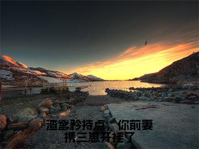 陆夕柠（渣爹矜持点，你前妻携三崽开挂了）全文免费阅读无弹窗大结局_（陆夕柠阅读无弹窗）渣爹矜持点，你前妻携三崽开挂了最新章节列表