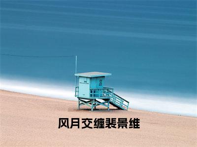 （涂想裴景维）是什么小说-风月交缠裴景维（涂想裴景维）免费阅读大结局最新章节列表_笔趣阁