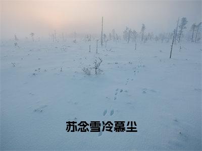 苏念雪冷慕尘是什么小说_主角是（冷慕尘苏念雪）的小说（苏念雪冷慕尘）最新章节无弹窗阅读