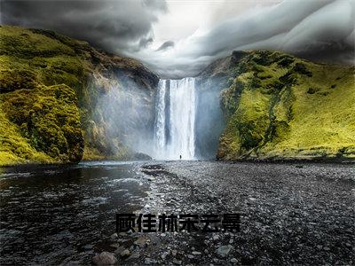 顾佳林宋云景（宋云景顾佳林）小说-顾佳林宋云景小说免费最新章节列表