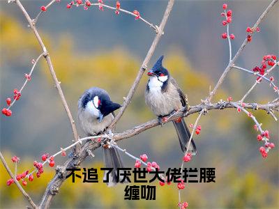 不追了厌世大佬拦腰缠吻最新章节（姜绒祁煜）全文免费阅读无弹窗大结局_姜绒祁煜不追了厌世大佬拦腰缠吻全文免费阅读