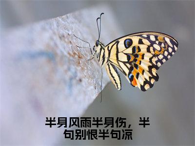 小说（半身风雨半身伤，半句别恨半句凉）许仙白素贞全文阅读_小说半身风雨半身伤，半句别恨半句凉免费阅读（许仙白素贞）笔趣阁