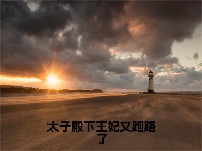 太子殿下王妃又跑路了全文免费阅读无弹窗大结局-苏婉兮陆靖儒在线阅读最新章节列表_笔趣阁