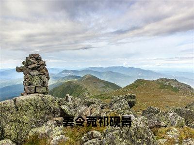 祁砚景姜令菀小说免费阅读无弹窗大结局，姜令菀祁砚景最新章节列表