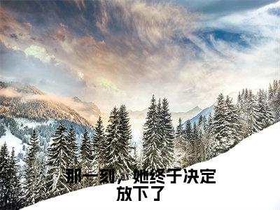 季靳桉虞枔宛（那一刻，她终于决定放下了）全文免费阅读无弹窗大结局_（季靳桉虞枔宛小说全文免费阅读）最新章节列表