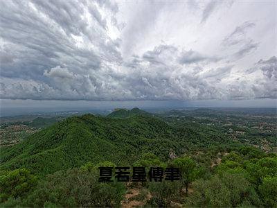 夏若星傅聿（夏若星傅聿）小说结局-夏若星傅聿全文无弹窗阅读