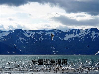 宋雪迎萧泽禹（宋雪迎萧泽禹）全文免费阅读_（宋雪迎萧泽禹）宋雪迎萧泽禹最新章节小说免费阅读_笔趣阁