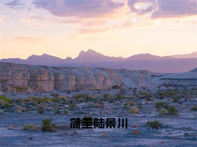 简笙陆景川全文免费阅读无弹窗大结局_（陆景川简笙无弹窗）简笙陆景川全文阅读最新章节列表笔趣阁