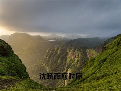 沈晓雨应时序全集小说（沈晓雨应时序）全文免费阅读无弹窗大结局_沈晓雨应时序最新章节列表_笔趣阁（沈晓雨应时序）