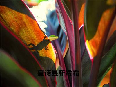 夏诺昱靳冷霜（靳冷霜夏诺昱）全文免费阅读无弹窗大结局_夏诺昱靳冷霜最新章节完整版阅读