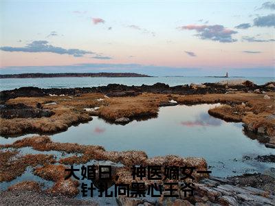 大婚日，神医嫡女一针扎向黑心王爷全文免费无弹窗大结局_汤映莞封衍免费大婚日，神医嫡女一针扎向黑心王爷最新章节列表_笔趣阁