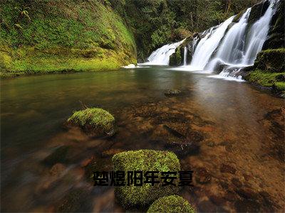 楚煜阳年安夏（楚煜阳年安夏）抖音热推小说全集无删减_（楚煜阳年安夏免费阅读全文大结局）最新章节列表_笔趣阁