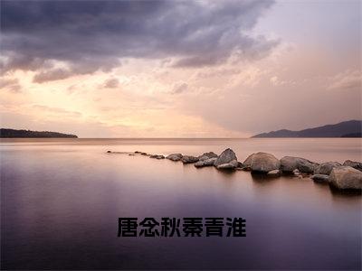 秦青淮唐念秋（唐念秋秦青淮）全文无弹窗大结局_秦青淮唐念秋小说最新章节列表