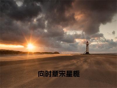 人气小说向时章宋星栀在线阅读-正版小说《向时章宋星栀》宋星栀向时章全文阅读