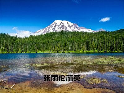 张雨伦林英多人追热门小说林英张雨伦最新章节免费阅读