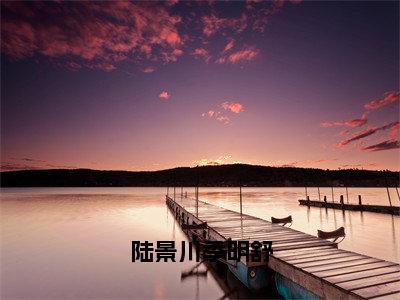 陆景川季明舒（陆景川季明舒）小说最新章节-陆景川季明舒全文免费阅读无弹窗大结局