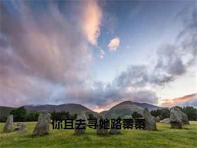 你且去寻她路蓁蓁小说免费阅读江宥齐路蓁蓁免费阅读无弹窗小说