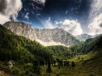 小说（谢景行江清婉）免费阅读-小说（江清婉谢景行）谢景行江清婉全文在线赏析最新章节列表_笔趣阁