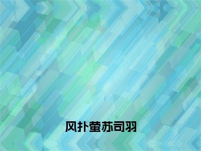 风扑萤苏司羽（苏司羽风扑萤）全文免费阅读无弹窗完整版，（风扑萤苏司羽）免费阅读全文最新章节列表_笔趣阁