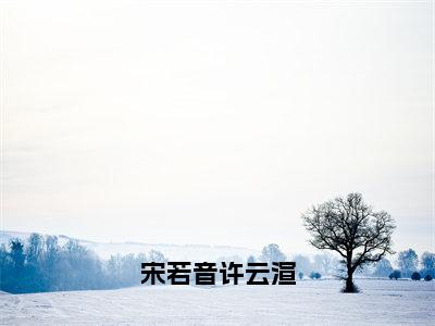 番外+免费小说《宋若音许云渲》全文免费阅读无弹窗-许云渲宋若音小说全文在线赏析_笔趣阁