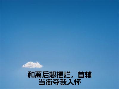 和离后想摆烂，首辅当街夺我入怀小说免费阅读凌茉免费阅读无弹窗小说