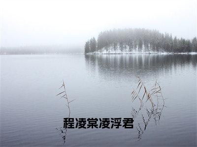 程凌棠凌浮君大结局免费阅读程凌棠凌浮君最新热点小说