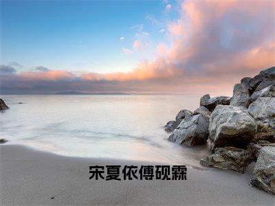 宋夏依傅砚霖（宋夏依傅砚霖）全文免费阅读无弹窗大结局_宋夏依傅砚霖全文阅读_笔趣阁（宋夏依傅砚霖）