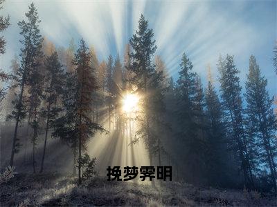 小说《挽梦霁明》全文免费阅读无弹窗-挽梦霁明小说全文在线赏析_笔趣阁