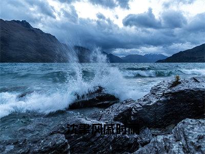 沈聿风戚时雨（戚时雨沈聿风）新上热文小说全文免费阅读-小说（戚时雨沈聿风）完整版阅读