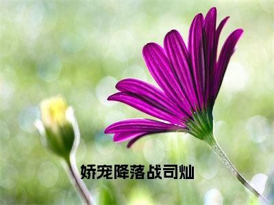 娇宠降落战司灿（苏池战司灿）全文免费大结局，娇宠降落战司灿结局在线阅读