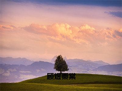 顾煜秦棠（顾煜秦棠）小说精彩免费内容_顾煜秦棠最新章节全文阅读（顾煜秦棠）