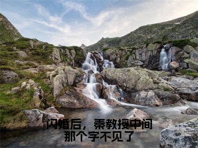 夏如意秦怀泽小说免费阅读闪婚后，秦教授中间那个字不见了全文无弹窗试读