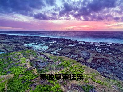 秦晚夏霍廷枭（霍廷枭秦晚夏）全文免费阅读无弹窗大结局_秦晚夏霍廷枭全文免费阅读